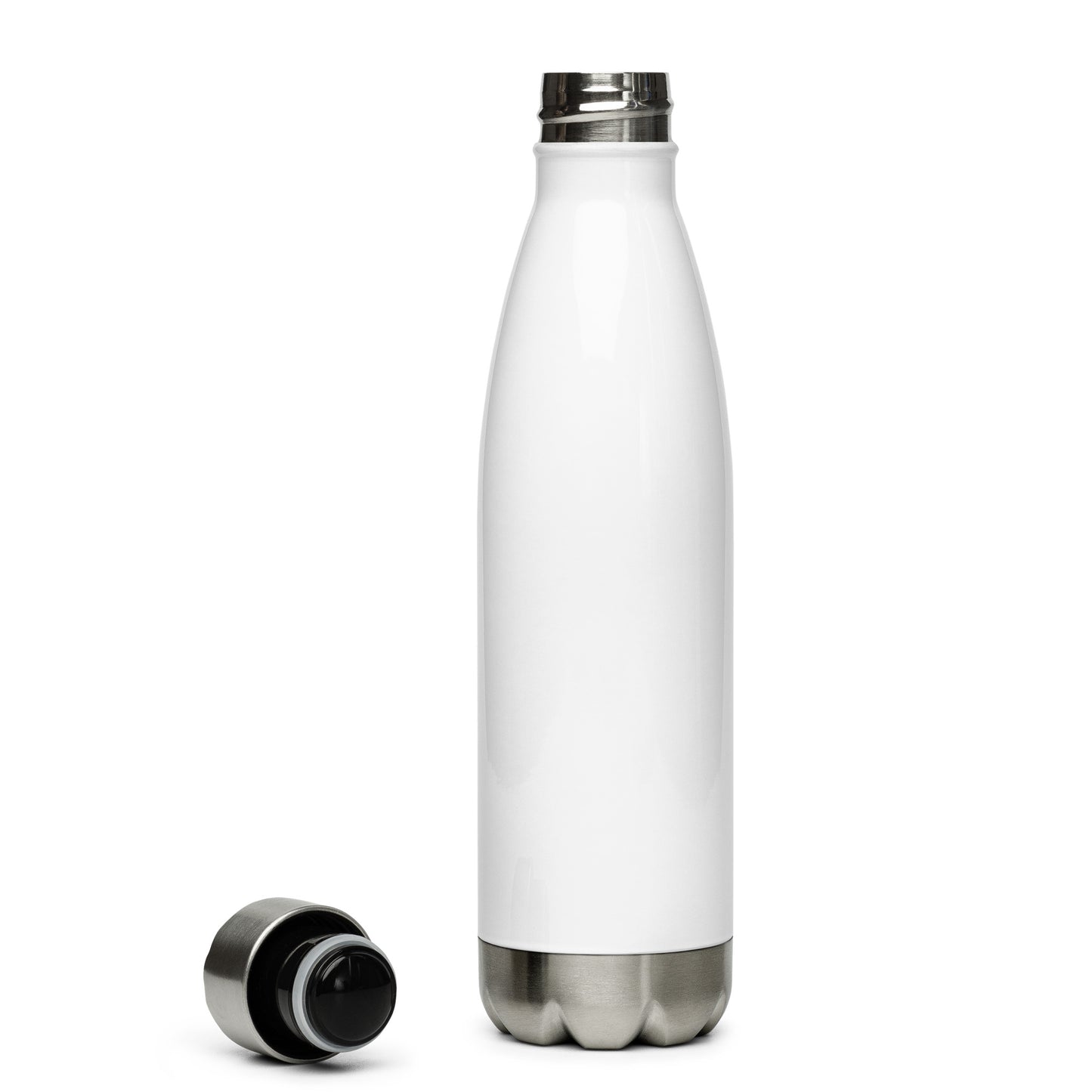 Turtle 4 Stainless Steel Water Bottle